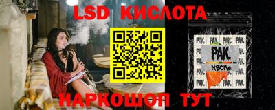стаф Сланцы