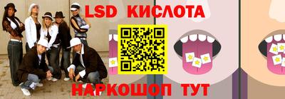 стаф Сланцы