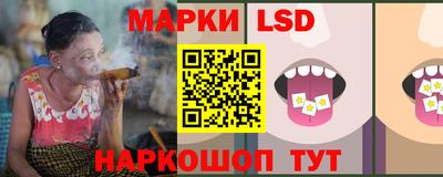 стаф Ставрополь