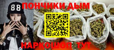 стаф Сланцы