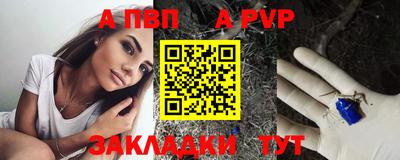 стаф Сланцы