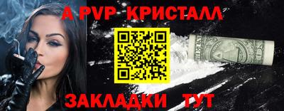 стаф Сланцы