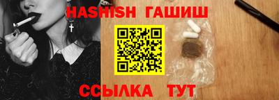 стаф Сланцы