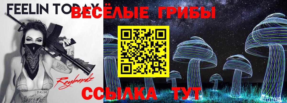 Псилоцибиновые грибы мухоморы  Вход с VPN  Новоалександровск  Псилоцибиновые грибы Psilocybe 